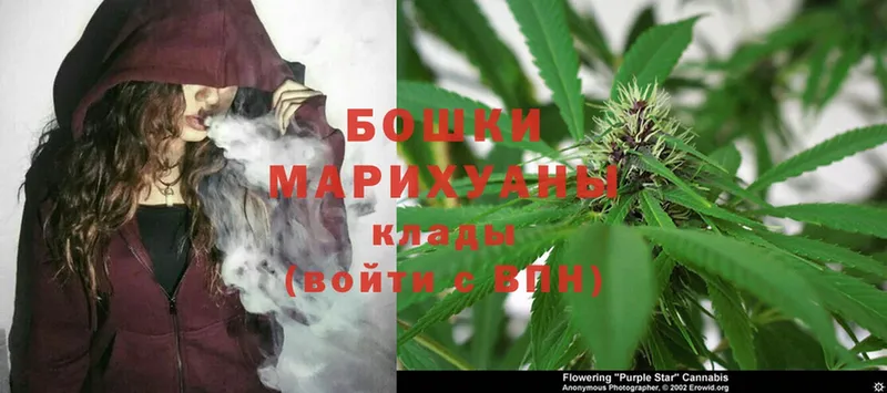 Бошки Шишки OG Kush  Гаджиево 